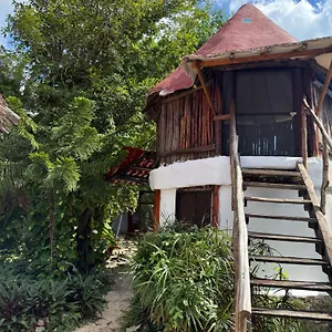 Tree House Tulum